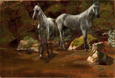 Study of Wild Horses by Albert Bierstadt